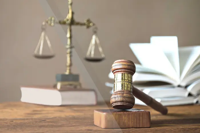 Av.Sergül Mehmetoğlu Hukuk&Danışmanlık